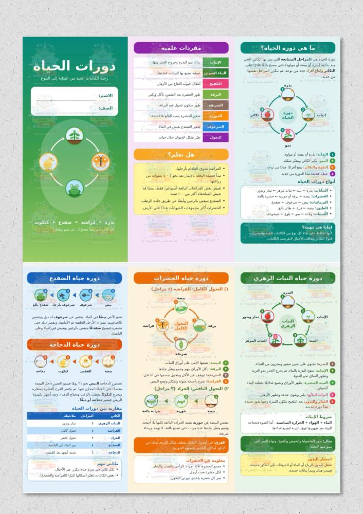 دورات الحياة علوم خامس