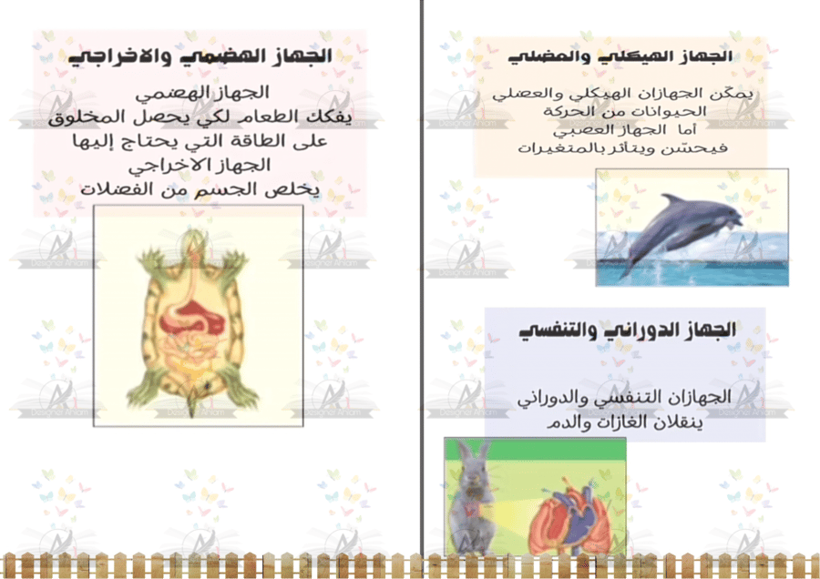 مطوية أجهزة أجسام الحيوانات الصف الرابع الابتدائي الفصل الاول