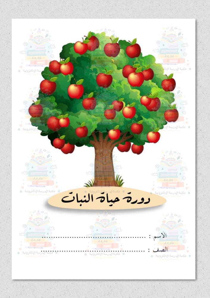 دورة حياة النبات ( علوم ) ثالث ابتدائي