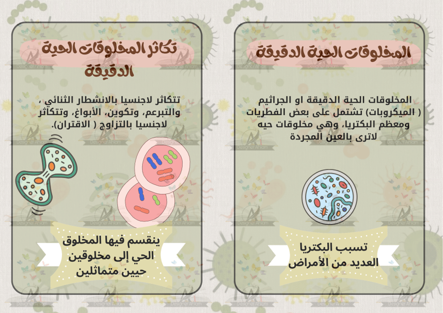 مطوية عمليات الحياة في المخلوقات الحية الدقيقة سادس ابتدائي