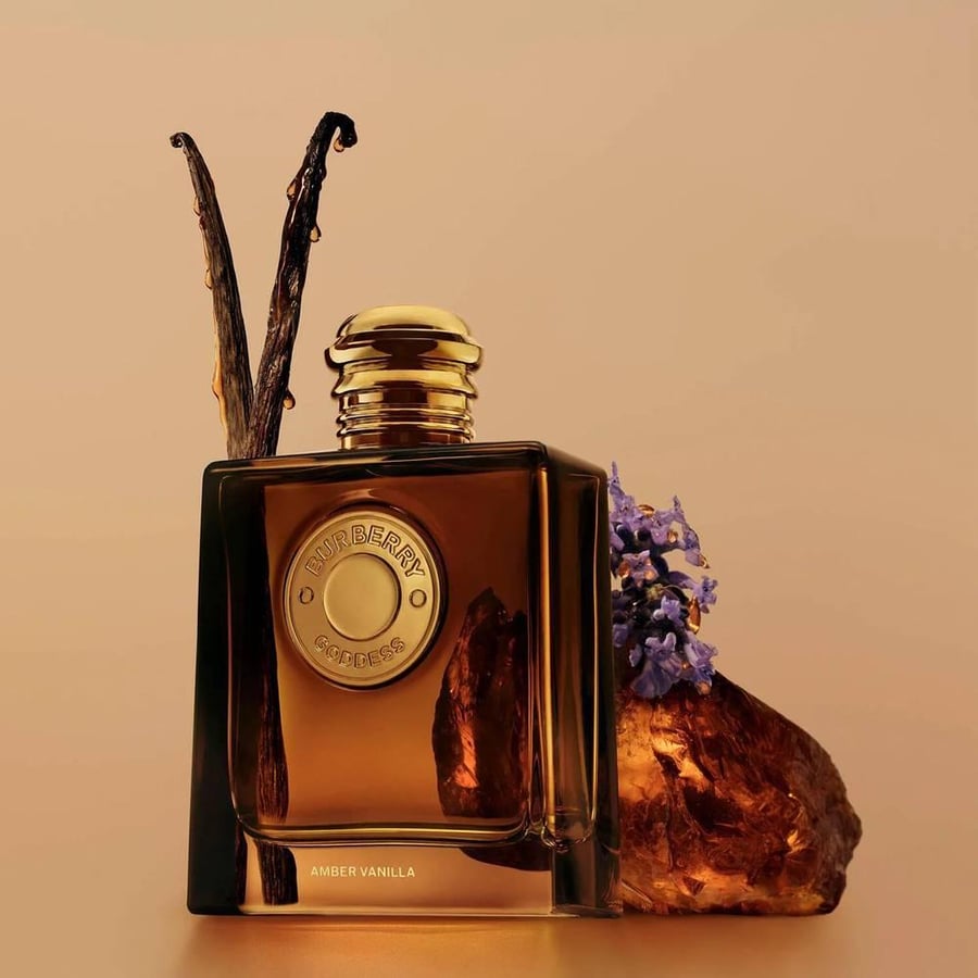 عطر بربري جوديس عمبر فانيلا انتنس 100 ملي
