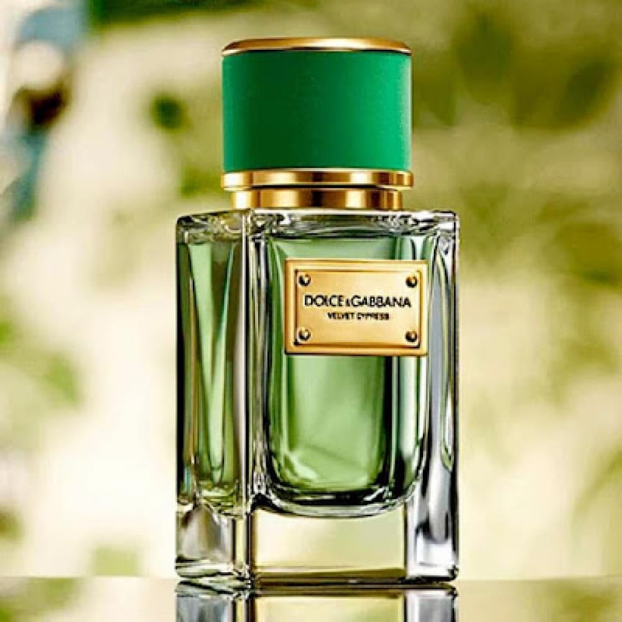 عطر دولتشي اند غابانا فيلفت برغموت 50مل