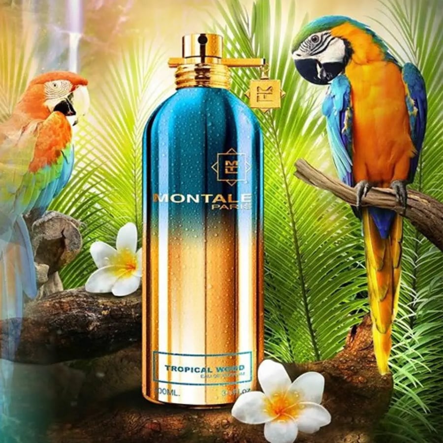 عطر مونتال تروبيكال وود او دو بارفيوم 100مل