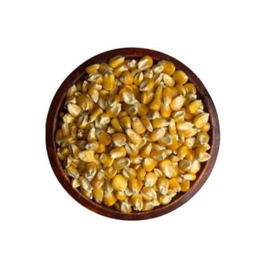 ذرة اصفر حبش ( الهند )