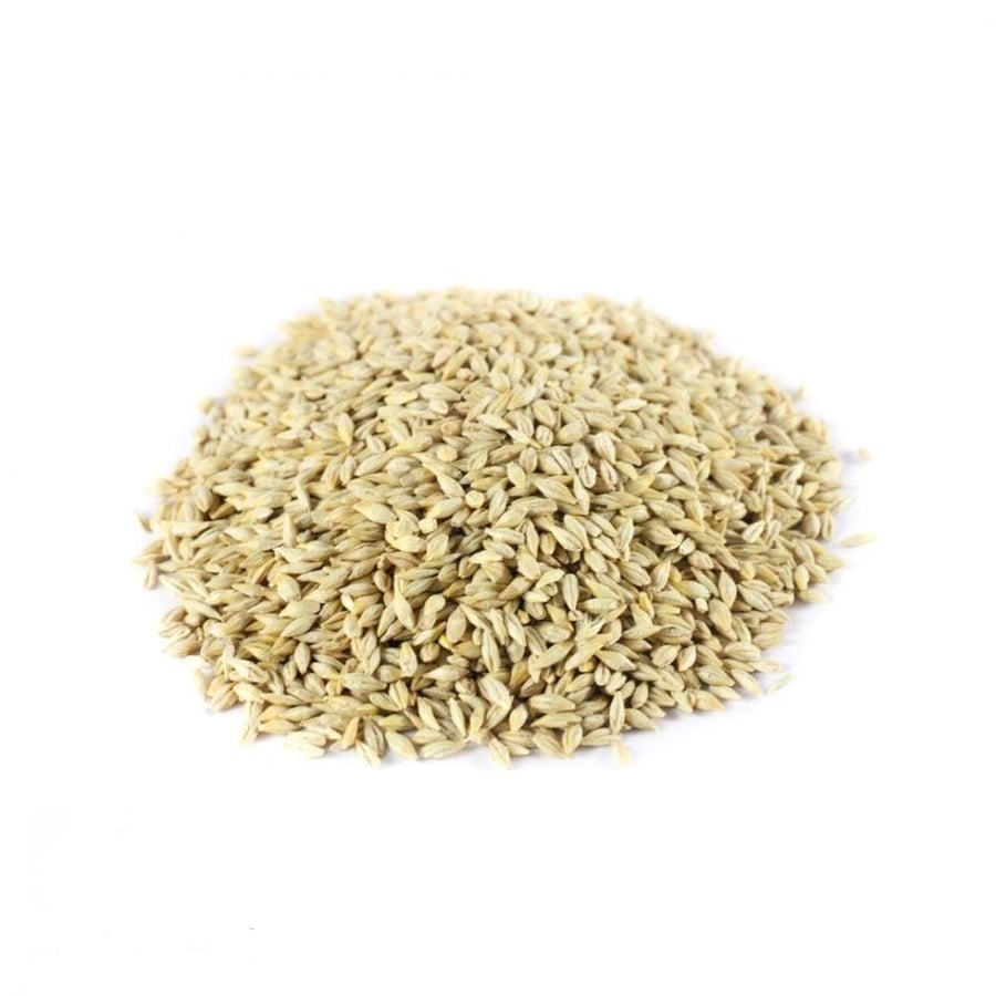 شعير بلدي ( الجوف)