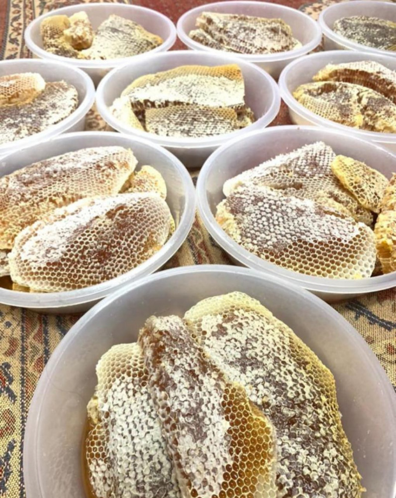 عسل السدر البلدي