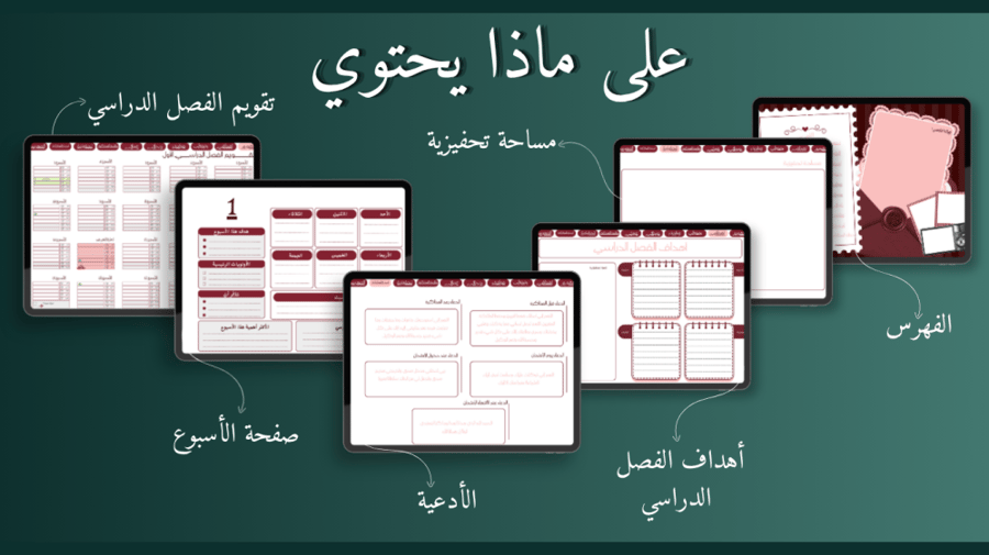 باقة القمة الأكاديمية الشاملة (عنابي)