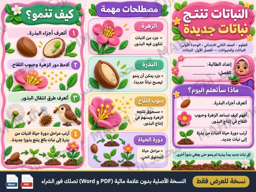 مطوية درس النباتات تنتج نباتات جديدة العلوم الصف الثاني الابتدائي