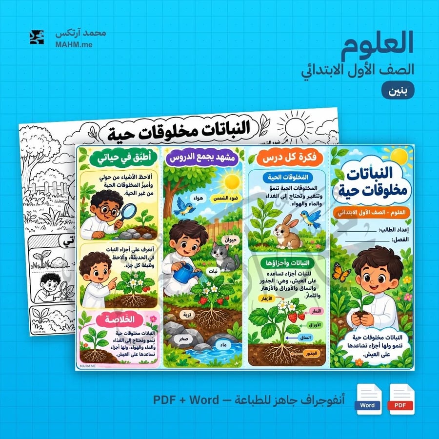 مطوية درس النباتات مخلوقات حية العلوم الصف الأول الابتدائي بنين