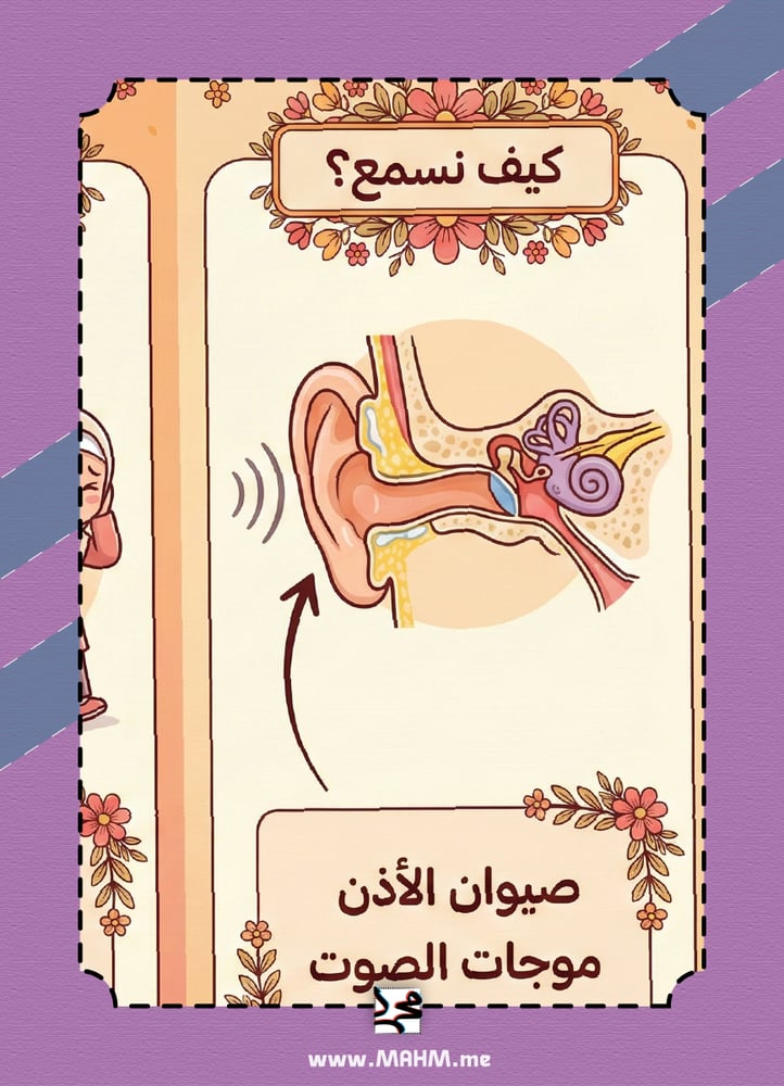 تميزي يا بطلة العلوم!  مطوية "الصوت" الشاملة بتصميم بناتي رائع