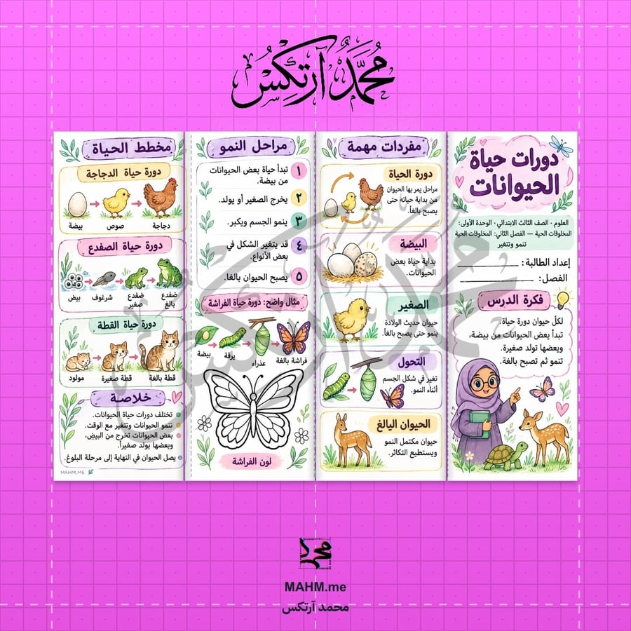 مطوية دورات حياة الحيوانات - ثالث ابتدائي بنات