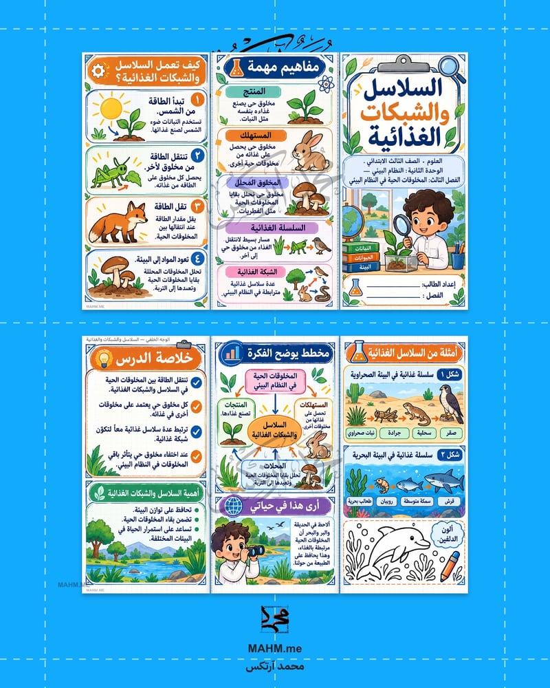مطوية درس السلاسل والشبكات الغذائية  العلوم  بنين