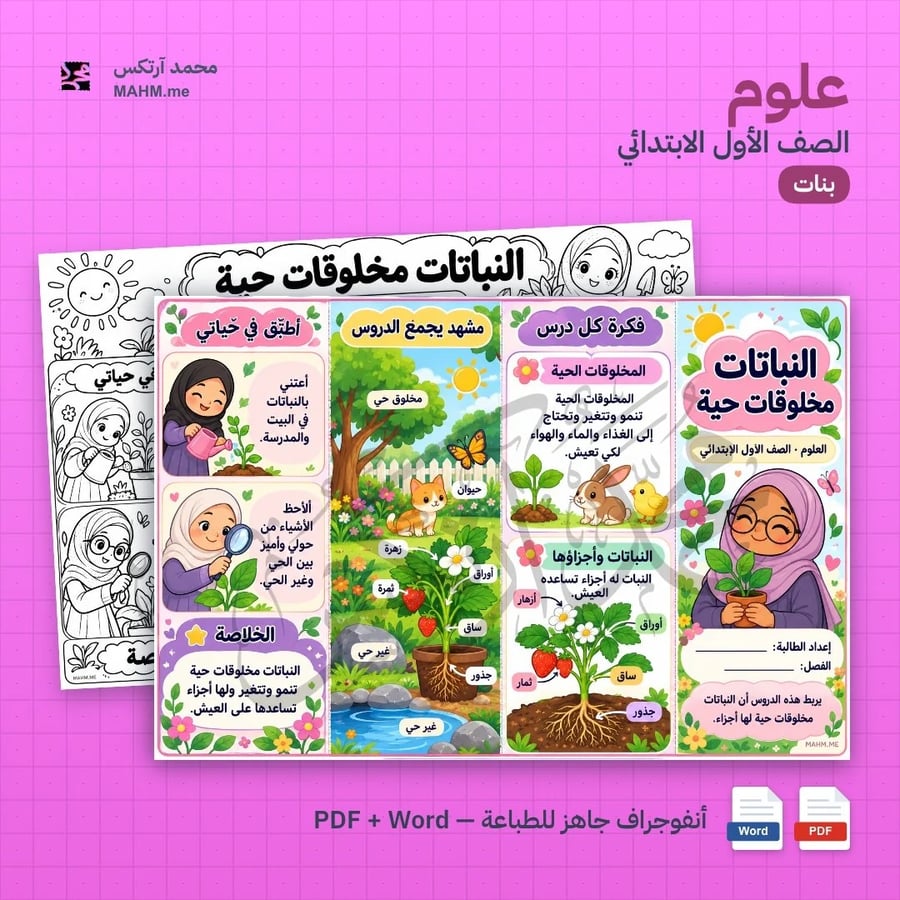 مطوية درس النباتات مخلوقات حية العلوم الصف الأول الابتدائي بنات