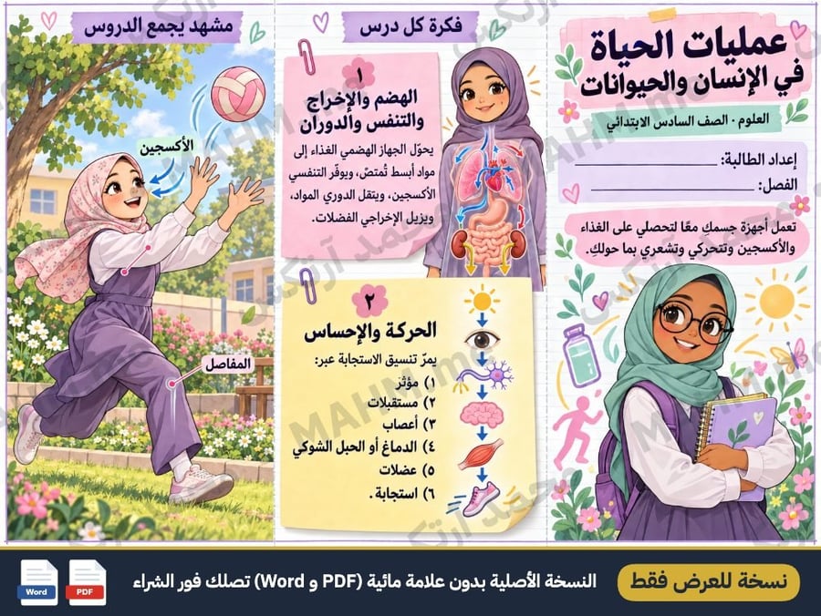 مطوية درس عمليات الحياة في الإنسان والحيوانات العلوم الصف السادس