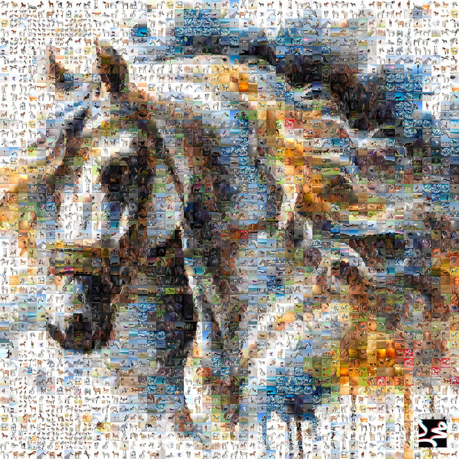 بورتريه الأصالة (ملف رقمي): وجه الخيل وعنقه في فسيفساء تروي أسرار الجمال!" 🐎💎