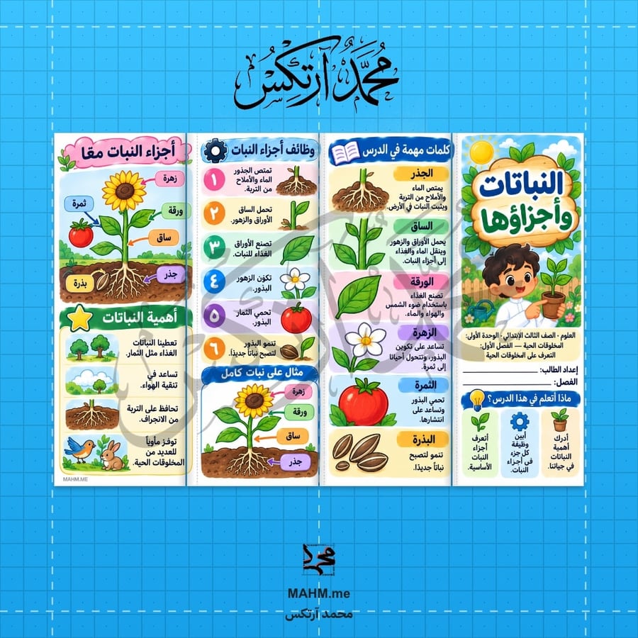 مطوية درس النباتات وأجزاؤها - العلوم - الثالث الابتدائي - بنين