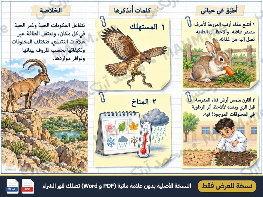 مطوية درس الأنظمة البيئية العلوم الصف السادس الابتدائي بنين صورة 3