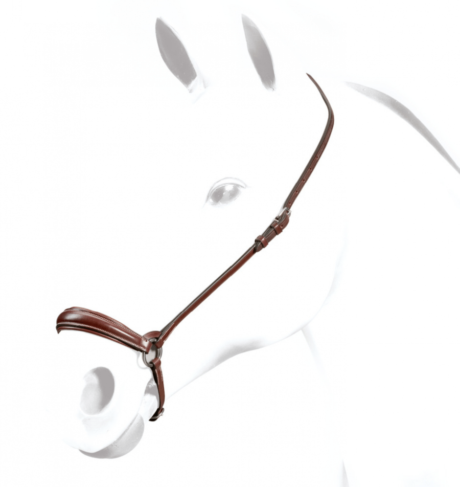DROPPED NOSEBAND