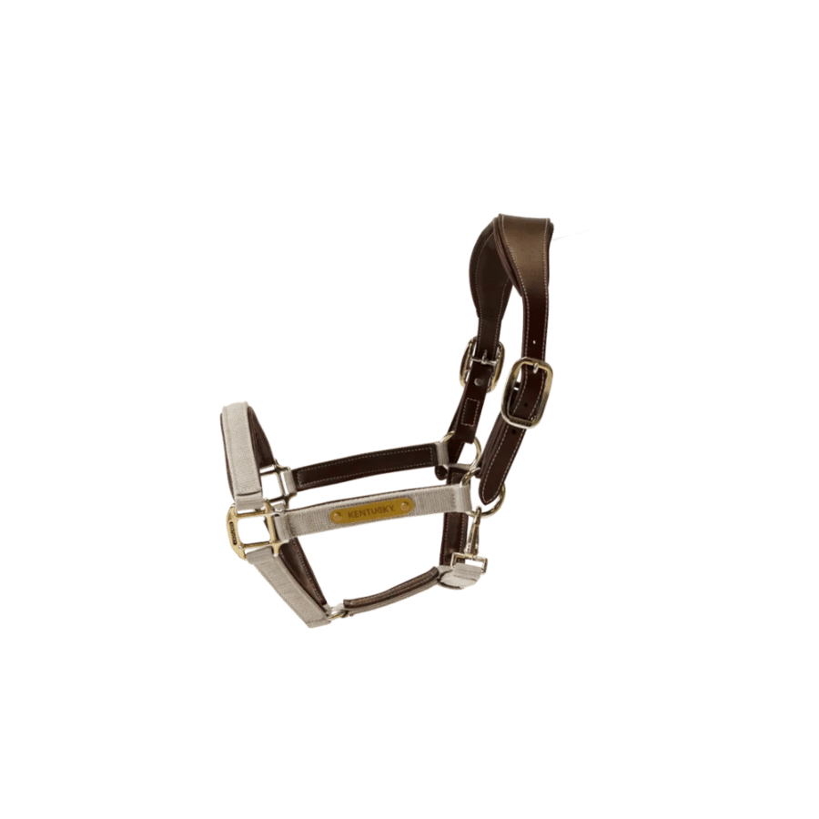 Nylon Anatomic Halter - Kentucky