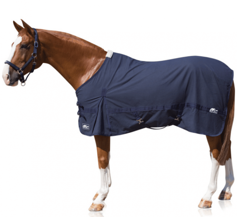 NIELE STABLE RUG
