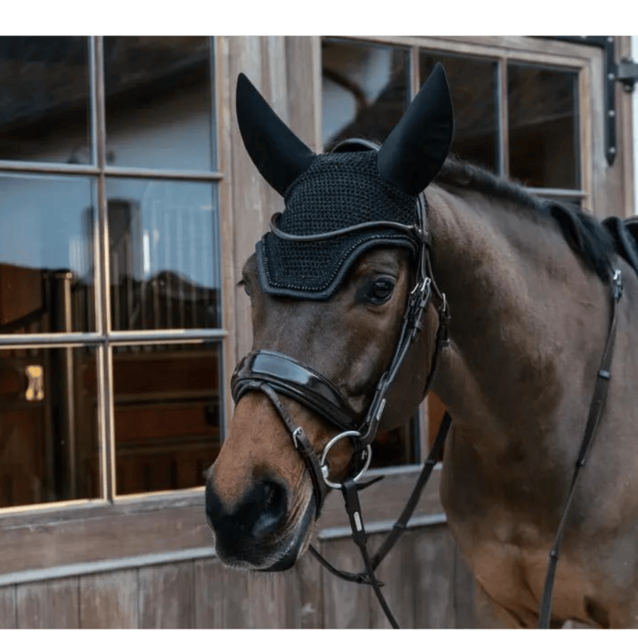 Fly veil Wellington glitter black - Kentucky