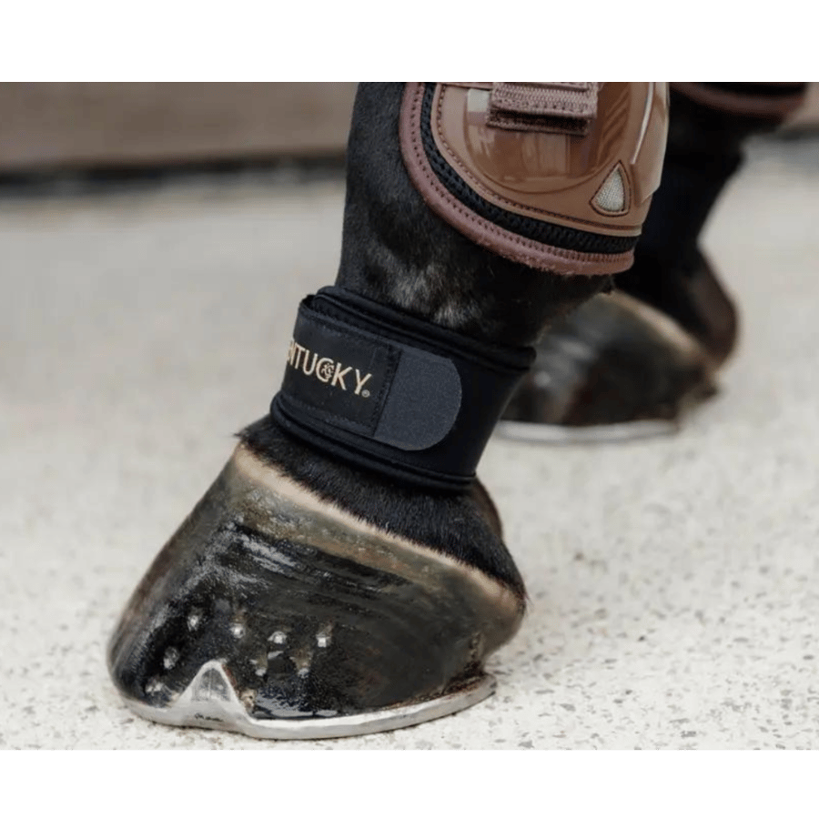 Pastern Wrap - Kentucky