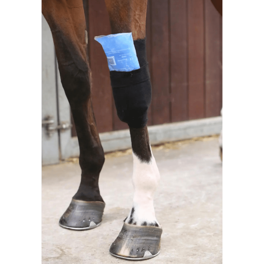 Tendon Grip Sock - Kentucky