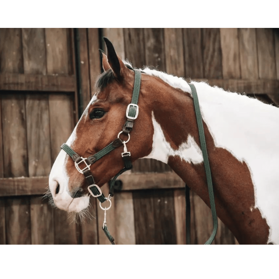 Plaited Nylon halter olive green Full - Kentucky