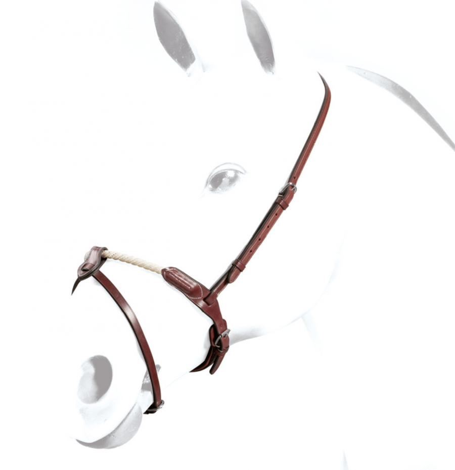 ROPE FLASH NOSEBAND