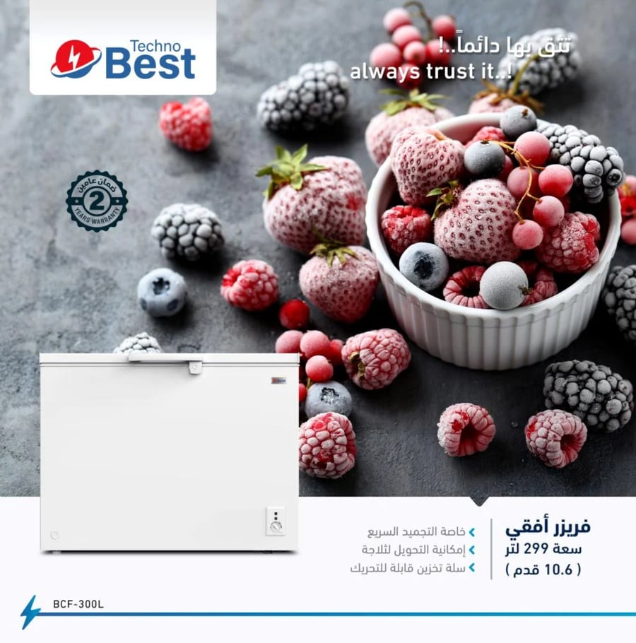 Teco Best Horizontal Freezer 299 liters 10.6 cubic feet - convertible to refrigerator - white - BCF-300L