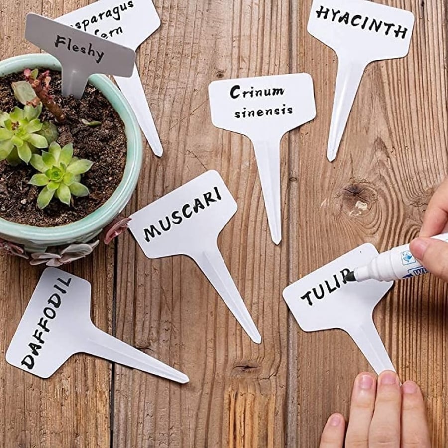 علامات تسمية النباتات