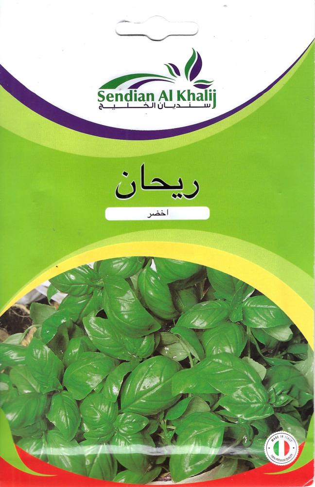 بذور ريحان اخضر ايطالي
