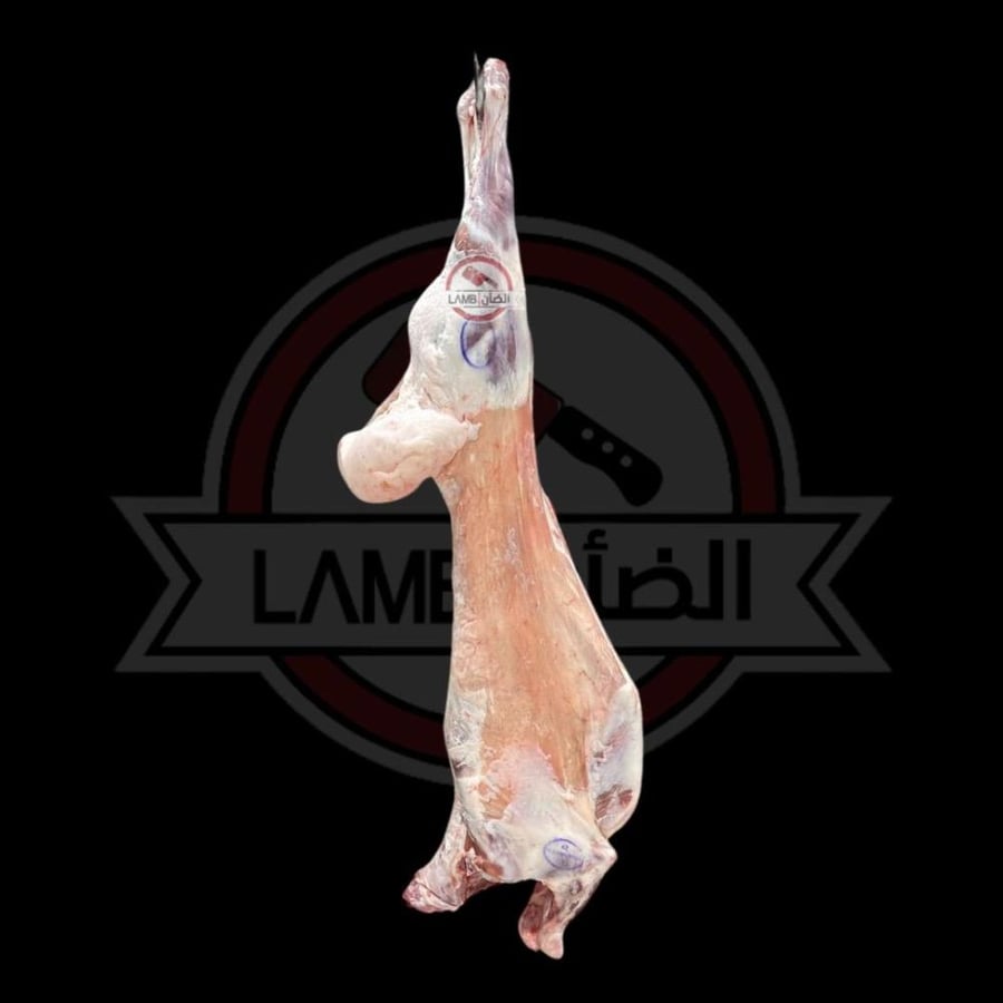 نعيمي كازاخستاني 7 الى 8 كيلو