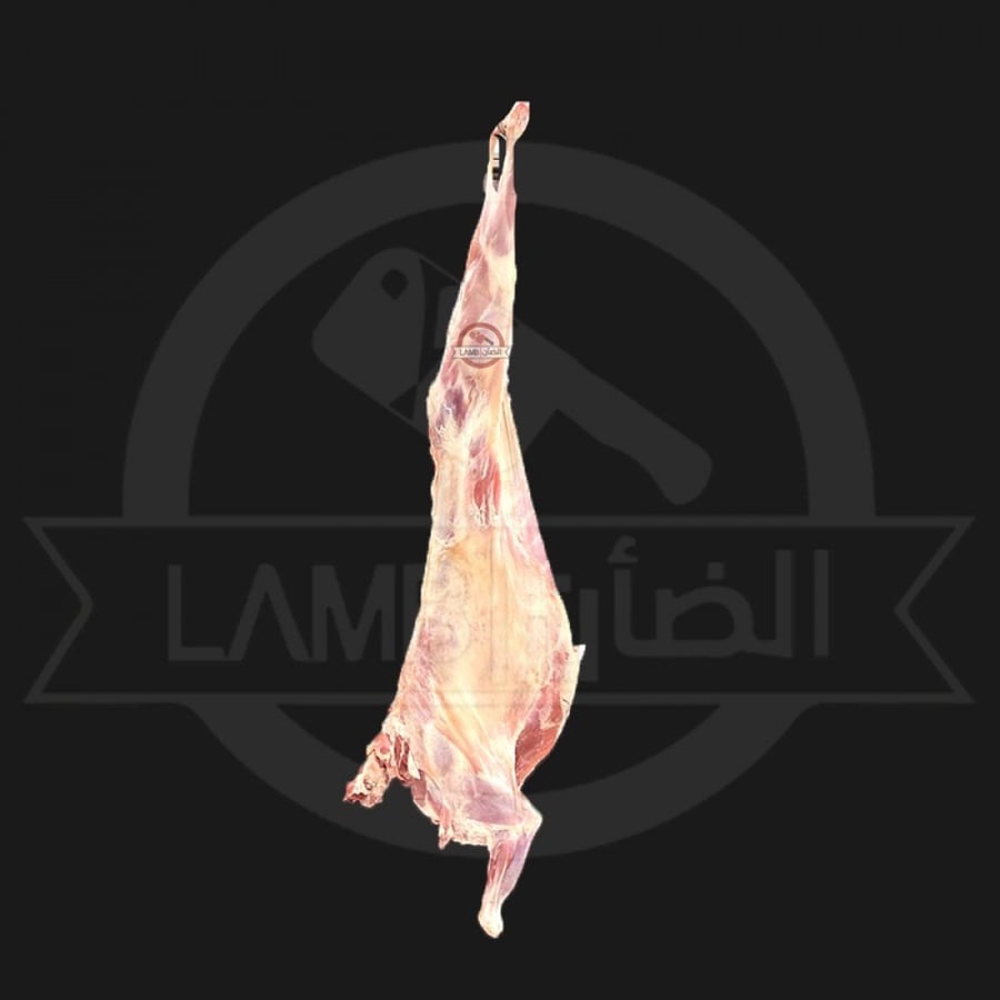 تيس بربري صغير (نصف)