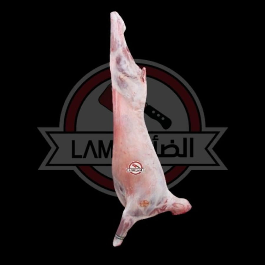 كازاخستاني بدون ليه 7 الى 8 كيلو