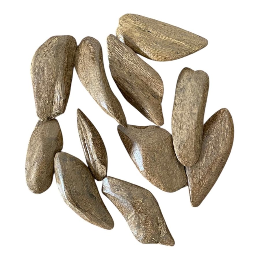 مروكي المجالس