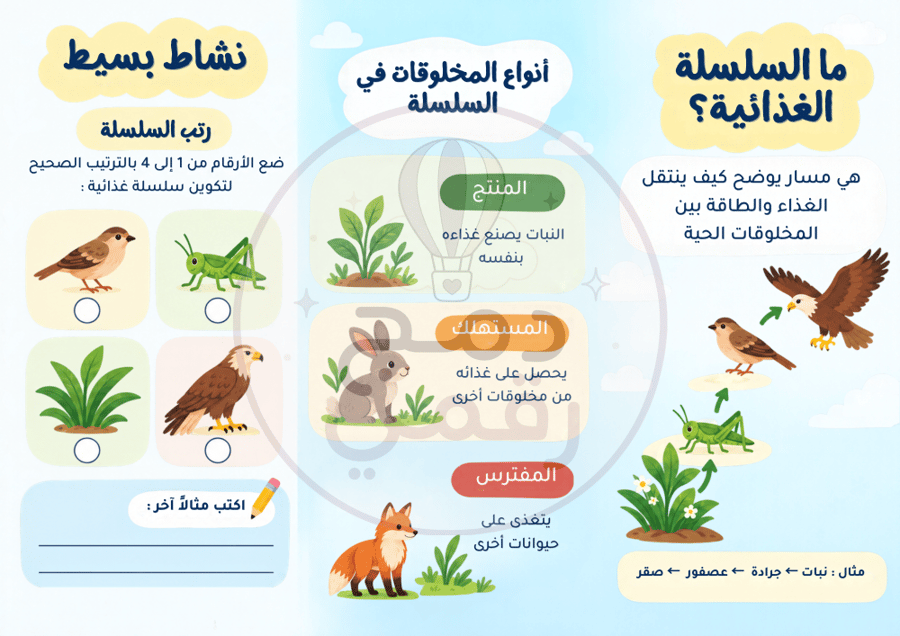 مطوية سلاسل الغذاء – علوم - ثاني ابتدائي