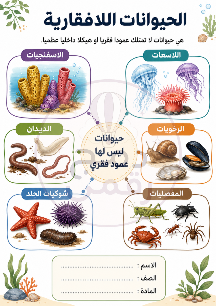مطوية الحيوانات اللافقارية – علوم رابع ابتدائي