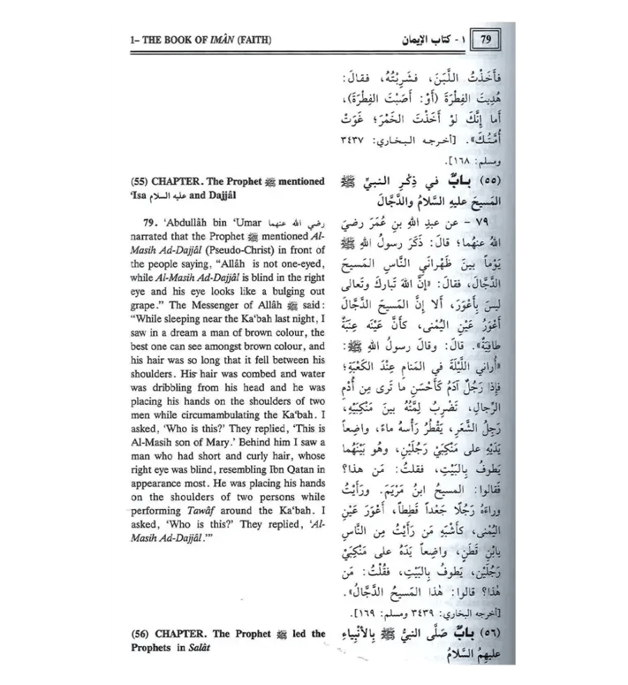 ملخص صحيح مسلم، مجلدان