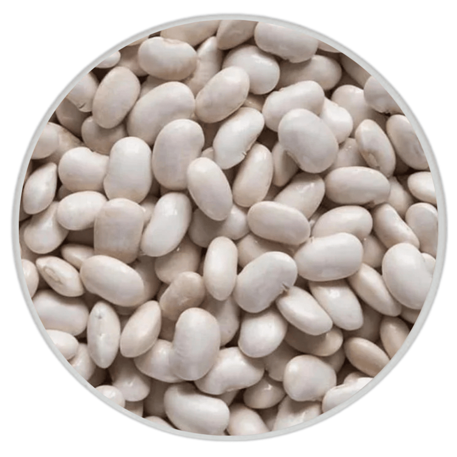 فاصولياء بيضاء