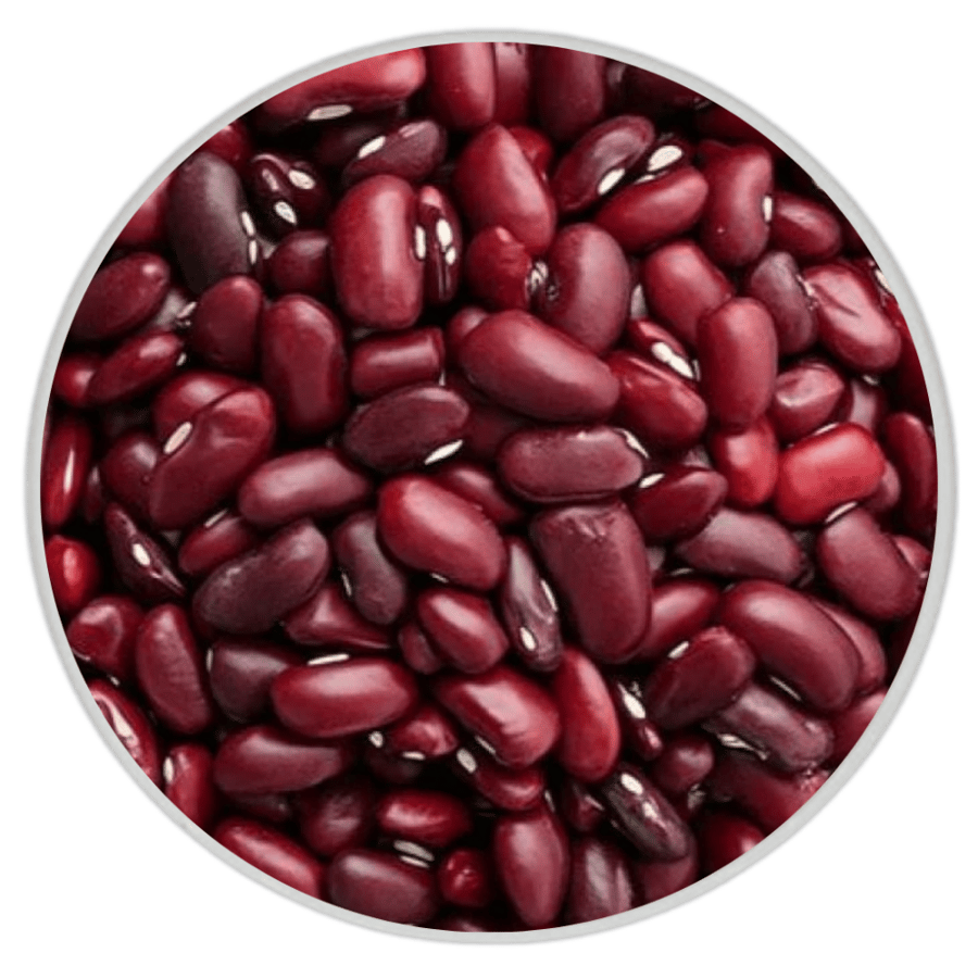 فاصولياء حمراء