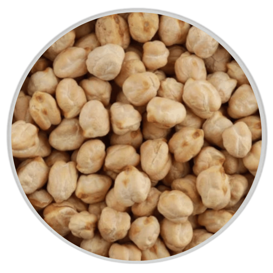 حمص