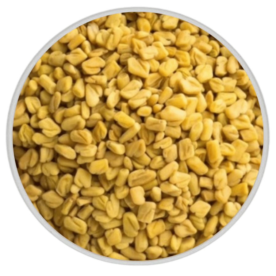 حلبة القصيم