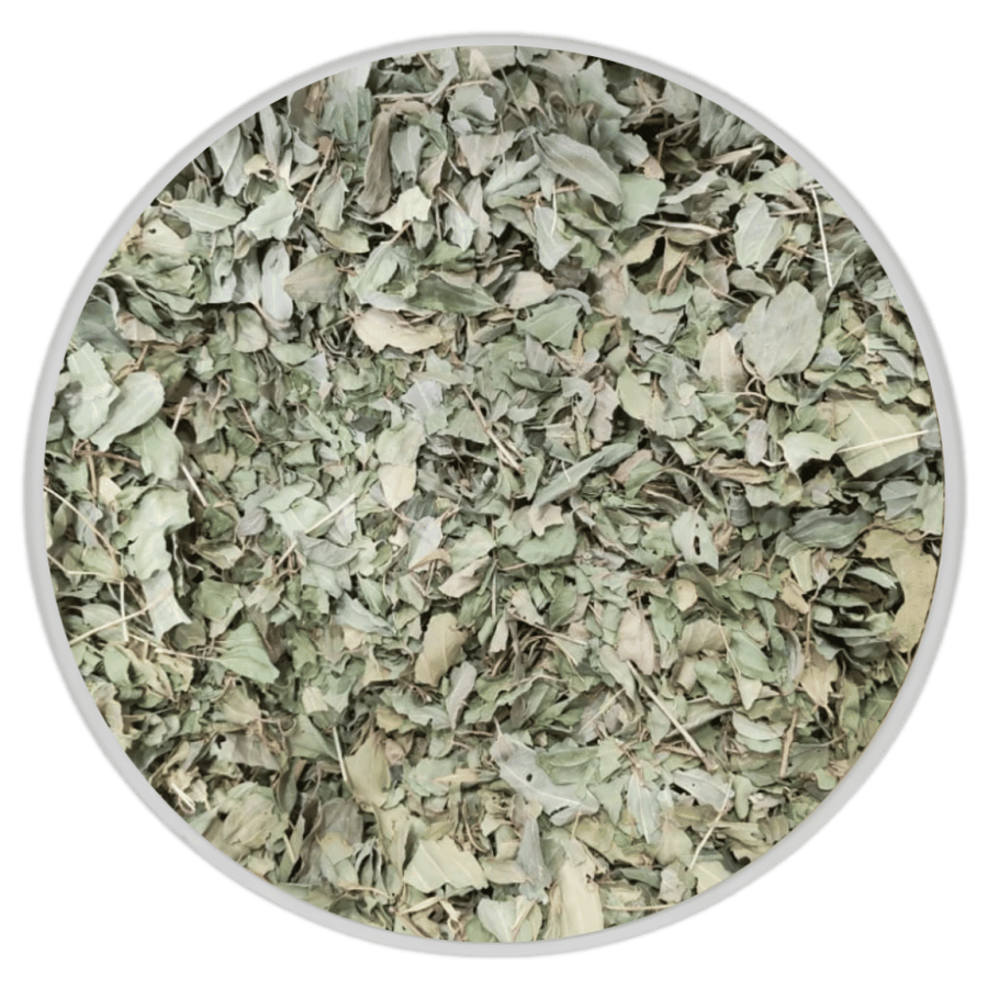 اوارق السدر