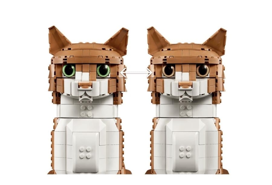 Orange Cat