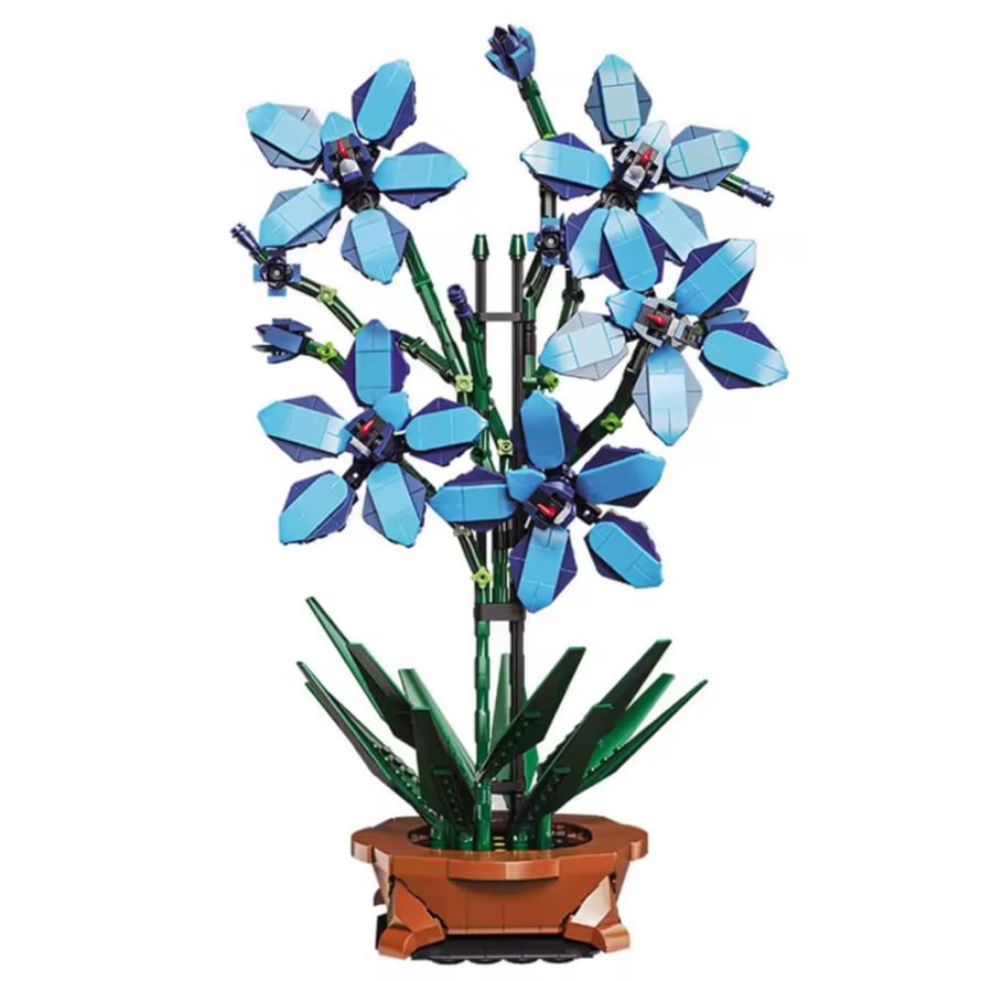 Blue orchid