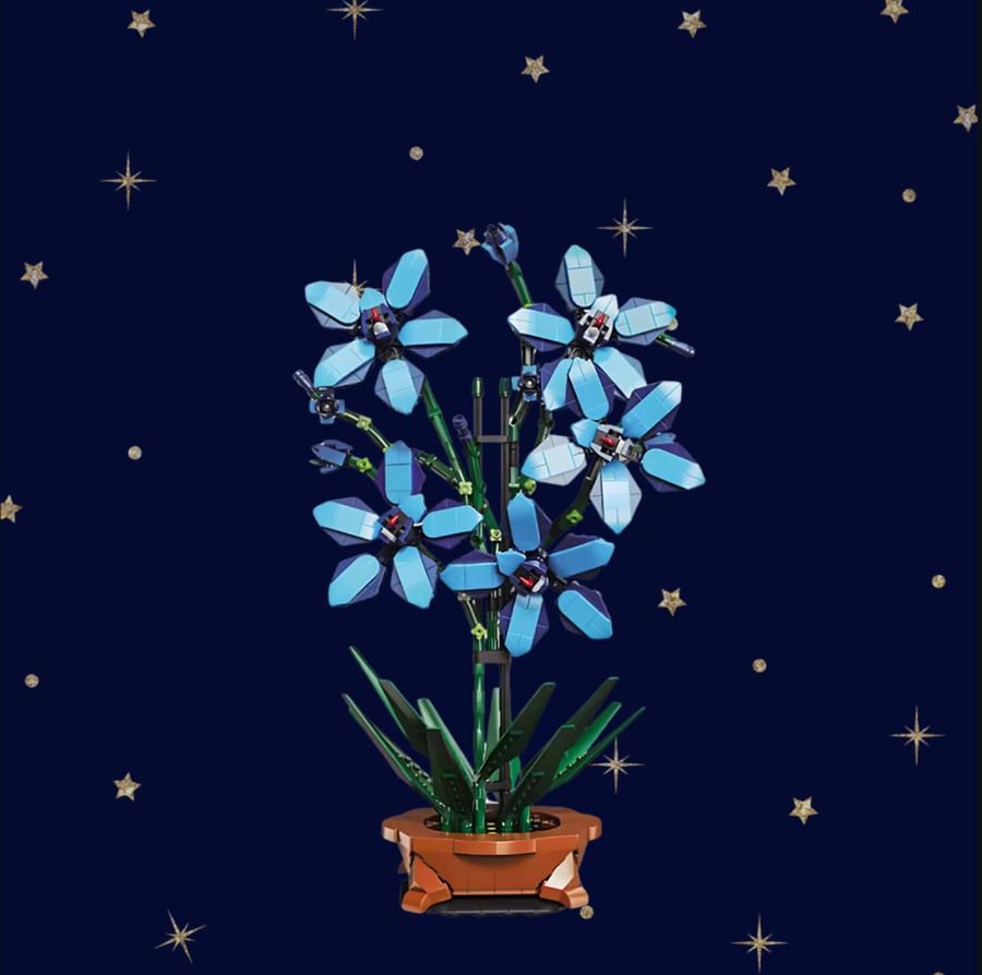 Blue orchid