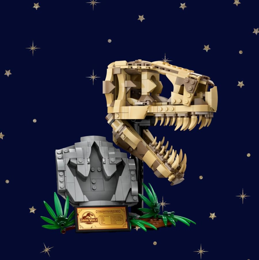 Dinosaur Fossils: T. rex Skull