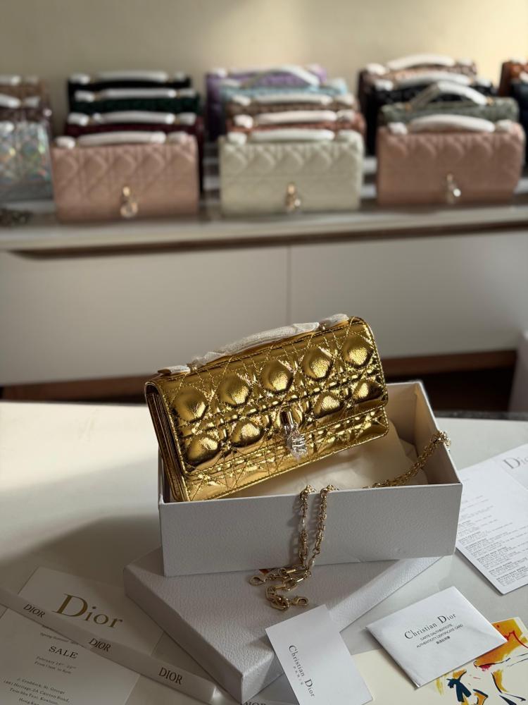شنط ديور Dior bags