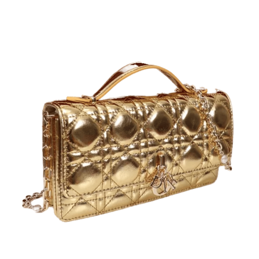 شنط ديور Dior bags